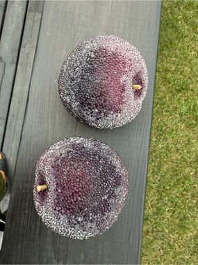 Decorative Frosted Plum Accent - Faux Fruit